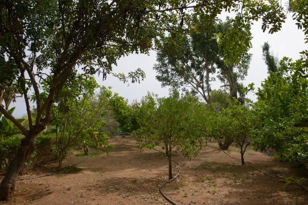 Myrtiana Villa Protaras Luaran gambar